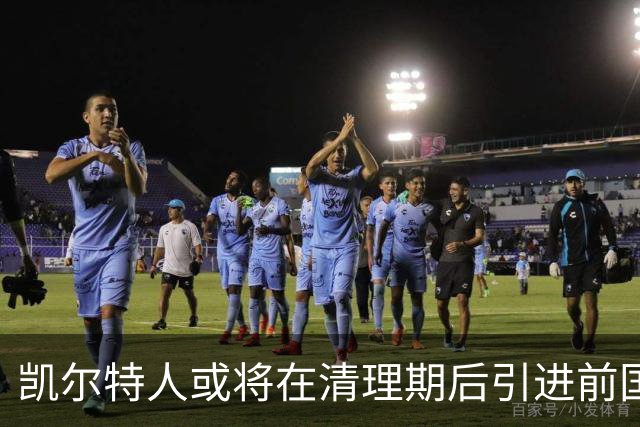 凯尔特人或将在清理期后引进前国王潜力新星